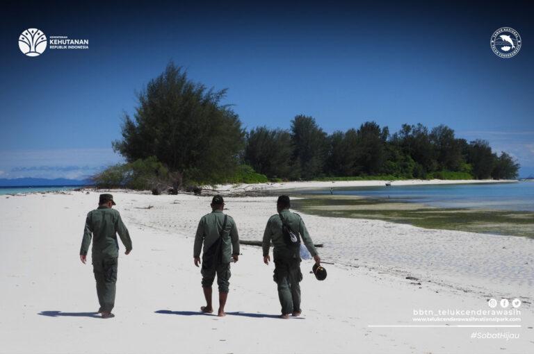 Smart Patrol SPTN Wilayah IV Roon Bersama MMP, Perkuat Pengawasan di Taman Nasional Teluk Cenderawasih