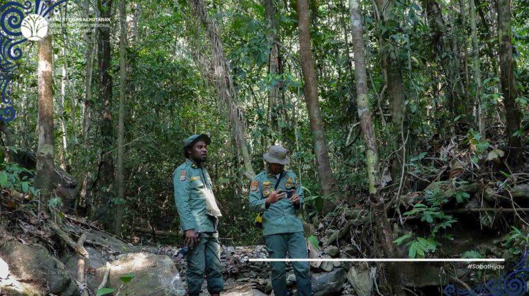 Menjaga Taman Nasional Teluk Cenderawasih Melalui Patroli Rutin SPTN III Aisandami.