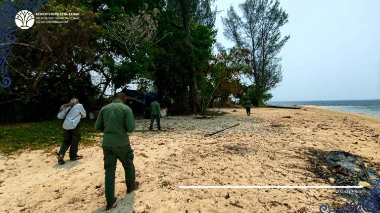 Patroli Kawasan Konservasi: Pemantauan Hiu Paus dan Keanekaragaman Hayati di SPTN I Kwatisore.
