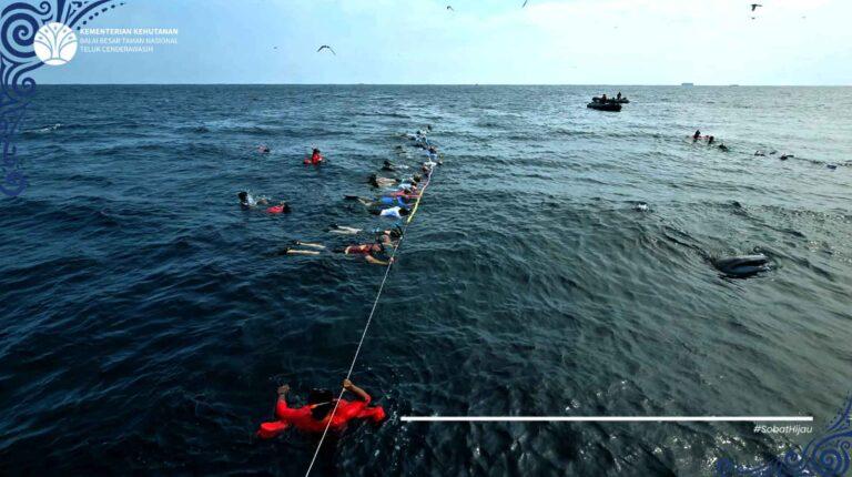 Serunya Bertemu Hiu Paus di Perairan Taman Nasional Teluk Cenderawasih Bersama Seabourn Persuit